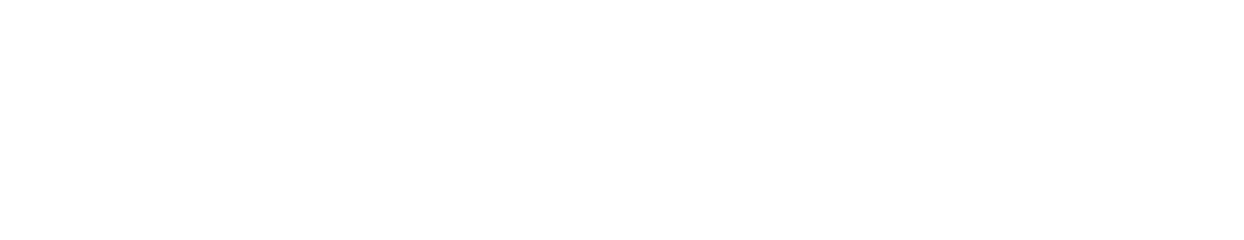 Logo Bergamoss (VOXEL)
