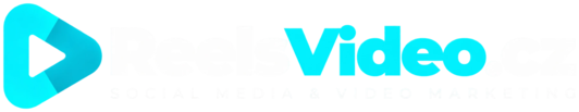 ReelsVideo