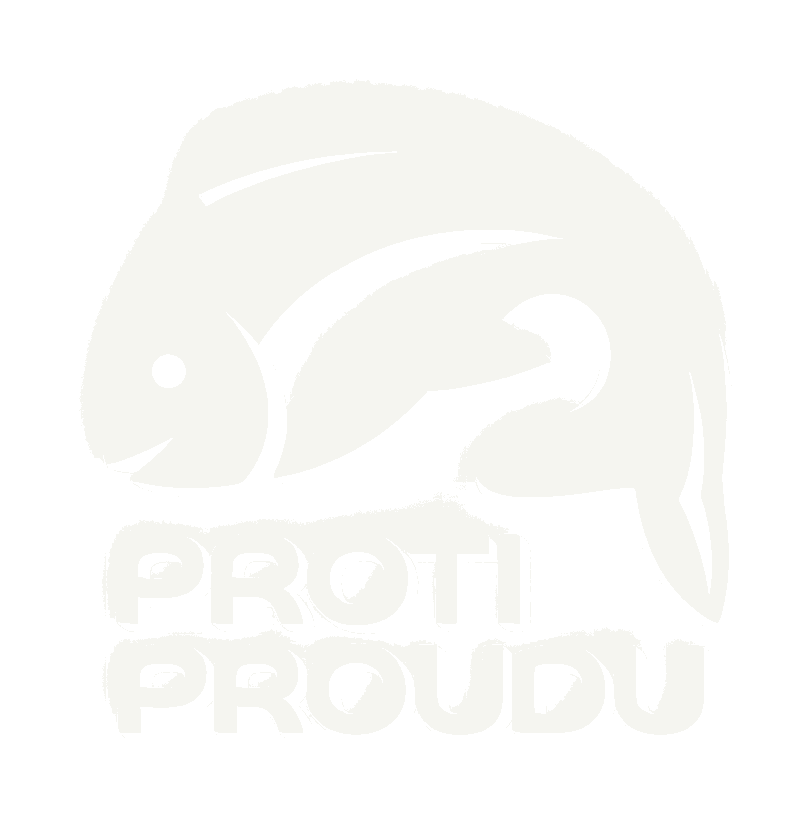 Proti Proudu